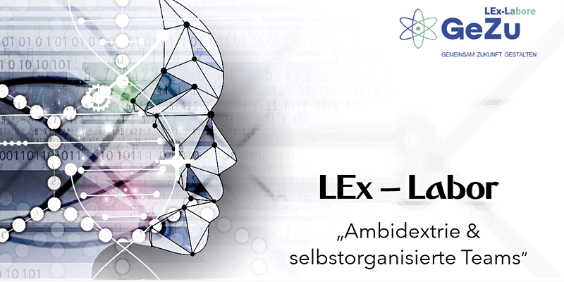 LEx-Labor „Ambidextrie & selbstorganisierte Teams“
